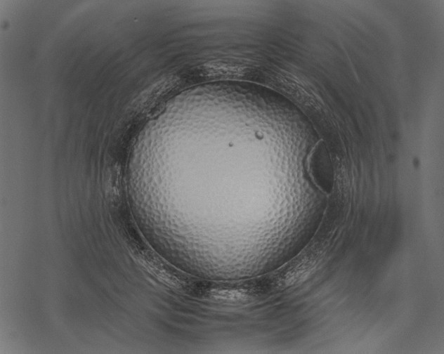 X0000077280649200611031526