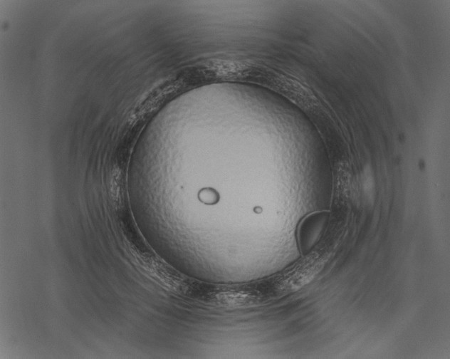 X0000077280650200611031526