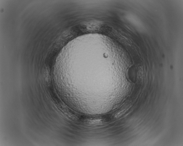 X0000077280651200611031526