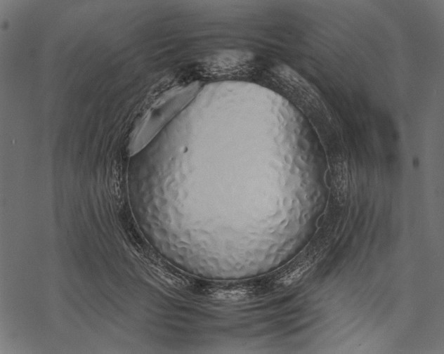 X0000077280653200611031526