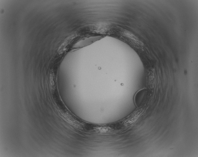 X0000077280654200611031526