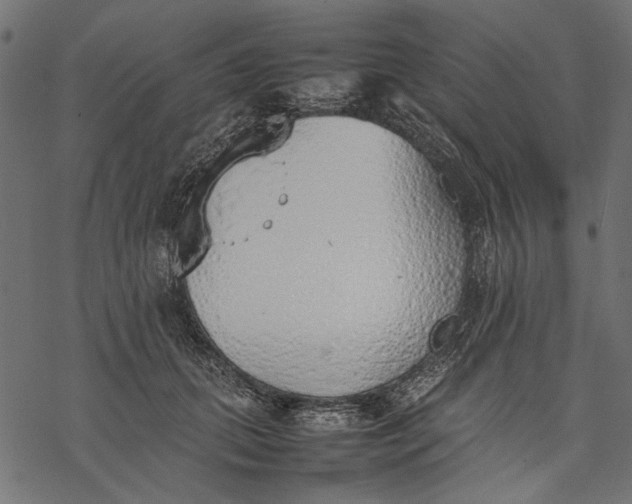 X0000077280655200611031526