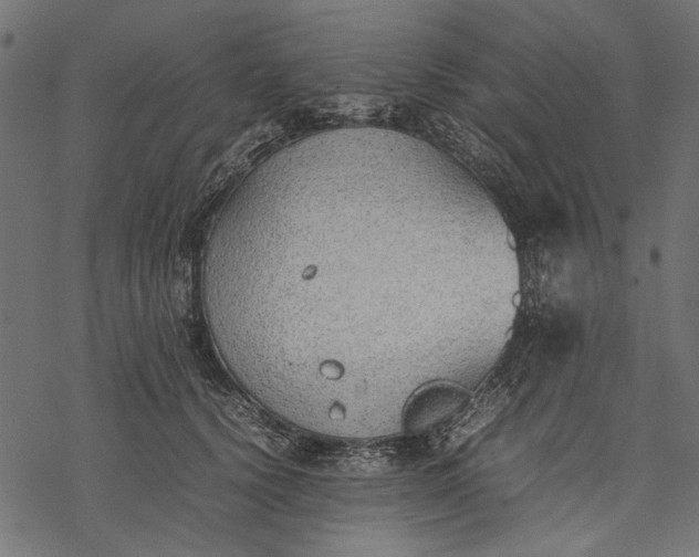 X0000077280656200611031526