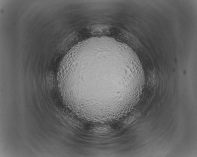 X0000077280659200611031526