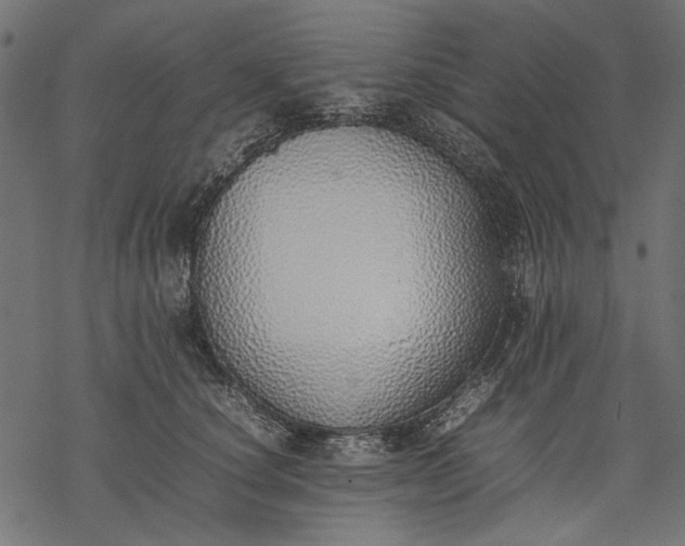 X0000077280660200611031526