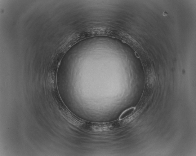 X0000077280661200611031526