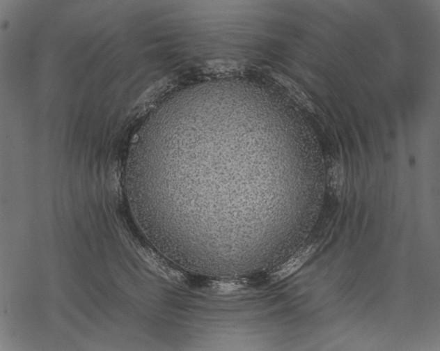 X0000077280662200611031526