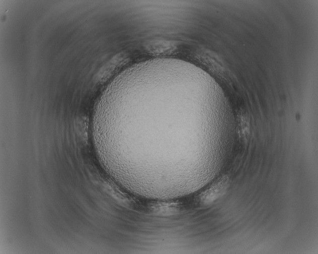 X0000077280664200611031527