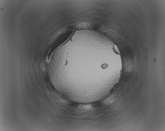 X0000077280665200611031527