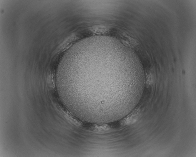 X0000077280666200611031527