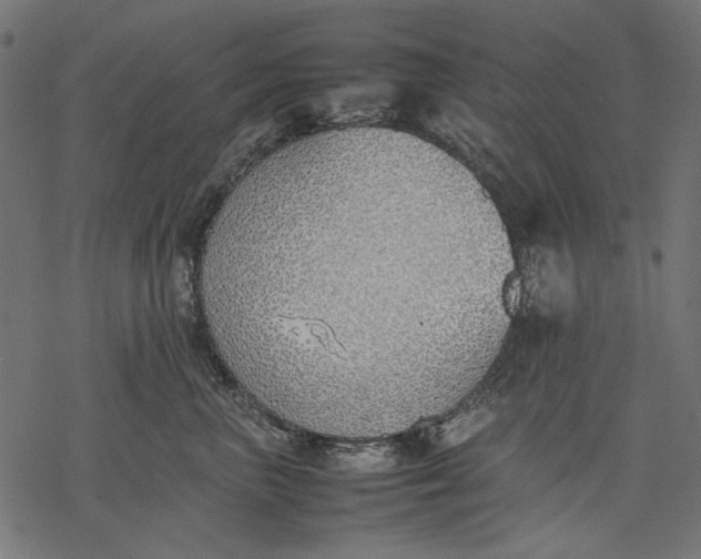 X0000077280667200611031527