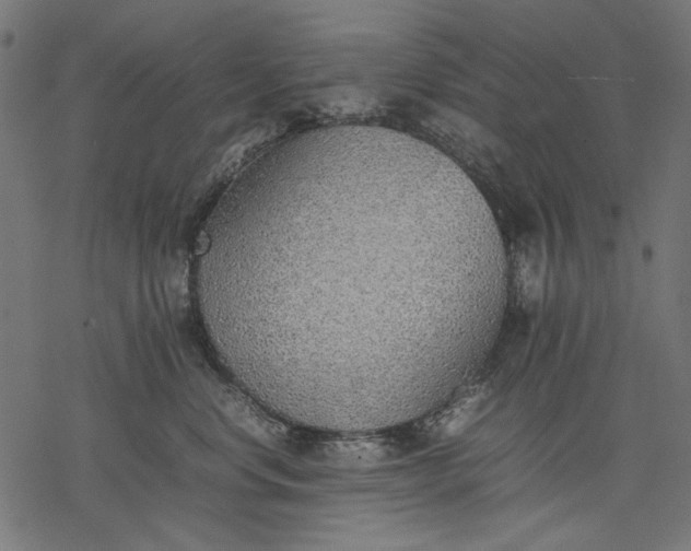 X0000077280668200611031527