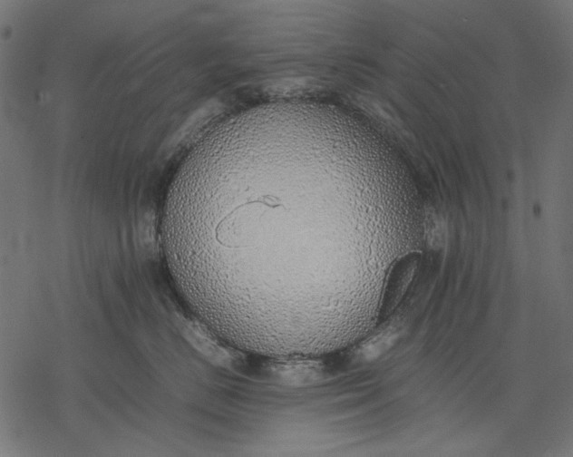 X0000077280670200611031527