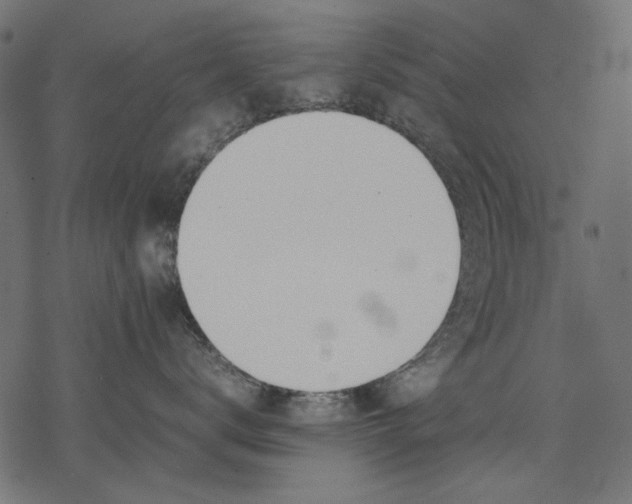 X0000077280672200611031527