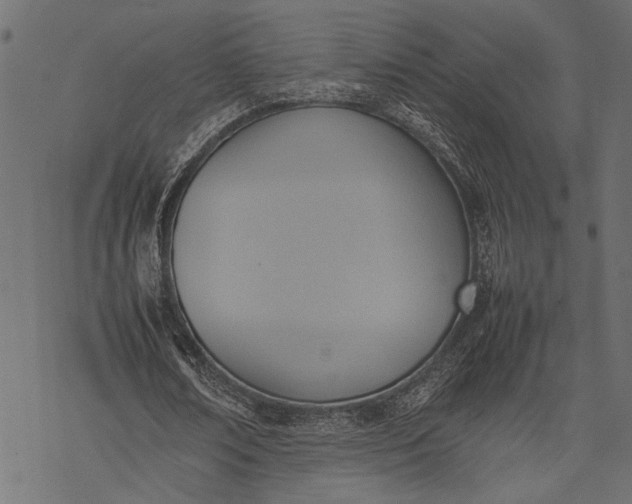 X0000077280674200611031526