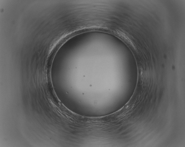 X0000077280676200611031526