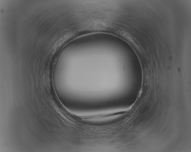 X0000077280677200611031526