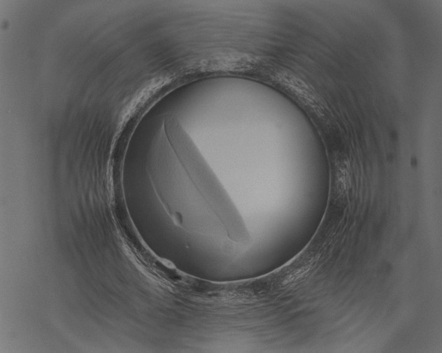 X0000077280678200611031526