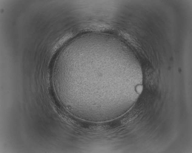 X0000077280679200611031526