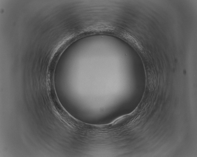 X0000077280680200611031526