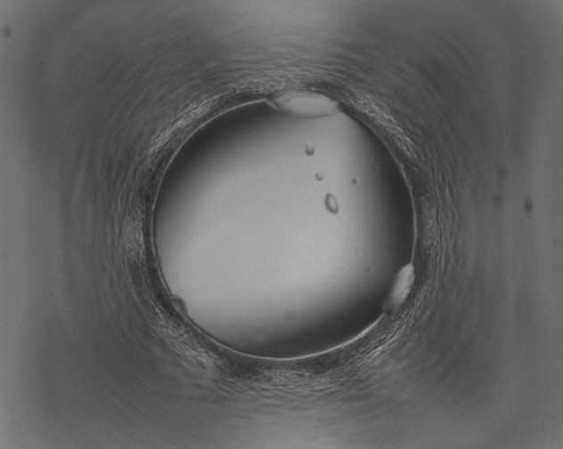 X0000077280681200611031526