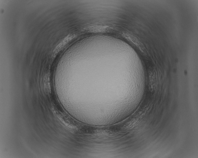 X0000077280682200611031526