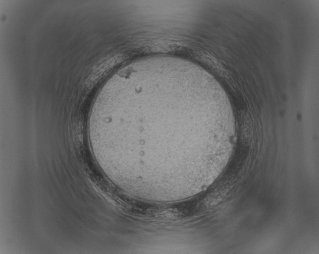 X0000077280683200611031526