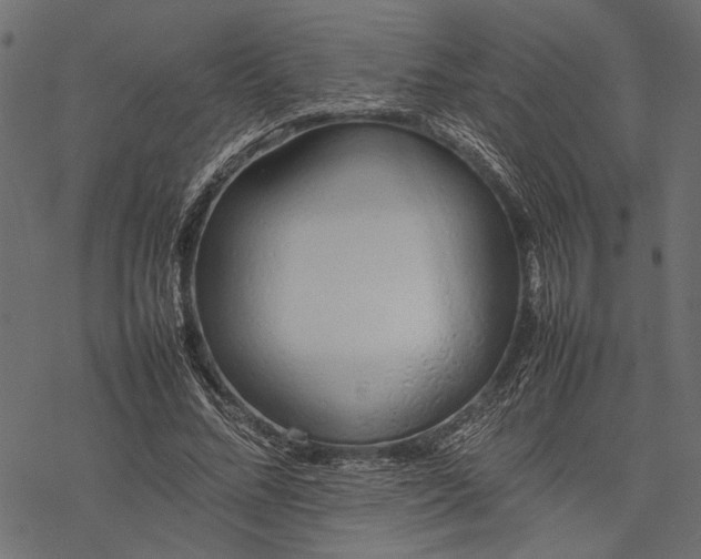 X0000077280684200611031526