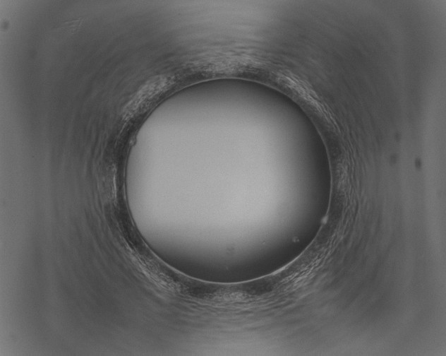 X0000077280685200611031526