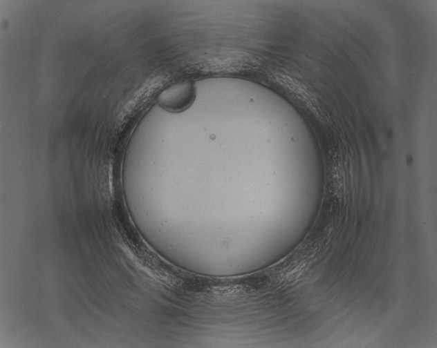 X0000077280686200611031526