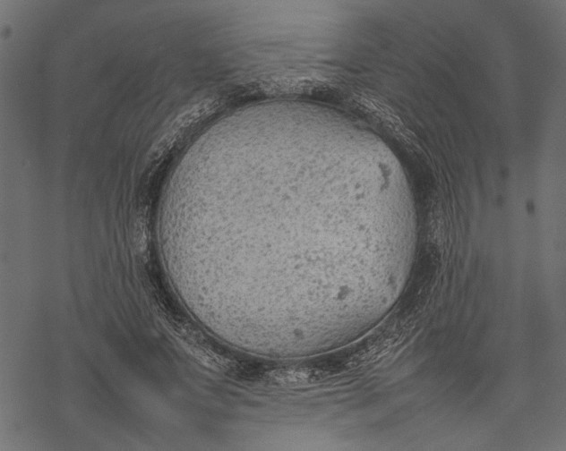 X0000077280687200611031526