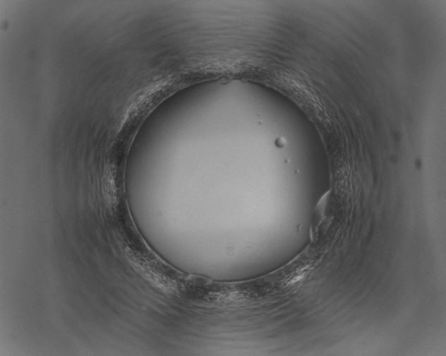 X0000077280688200611031526