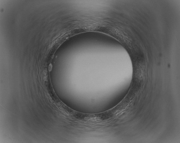 X0000077280689200611031526