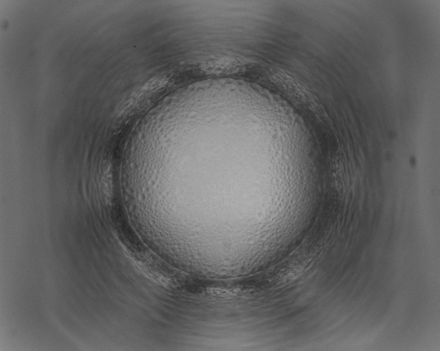 X0000077280690200611031526