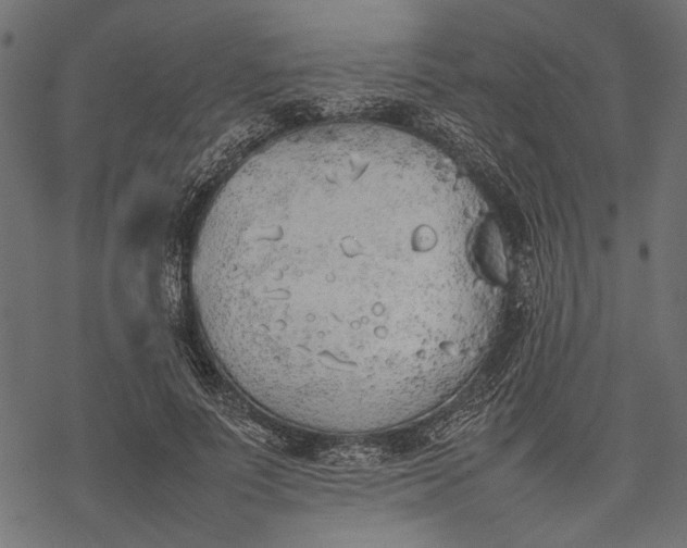 X0000077280691200611031526