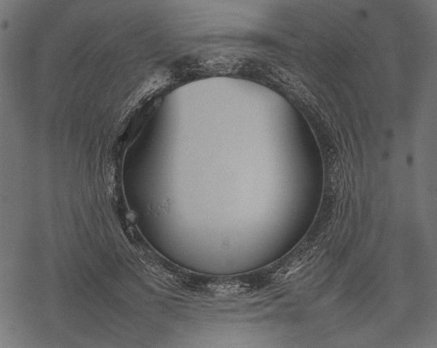 X0000077280693200611031526