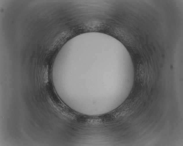 X0000077280694200611031526