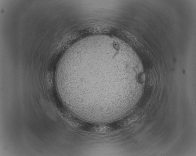 X0000077280695200611031526