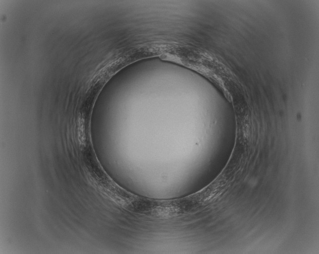 X0000077280696200611031526