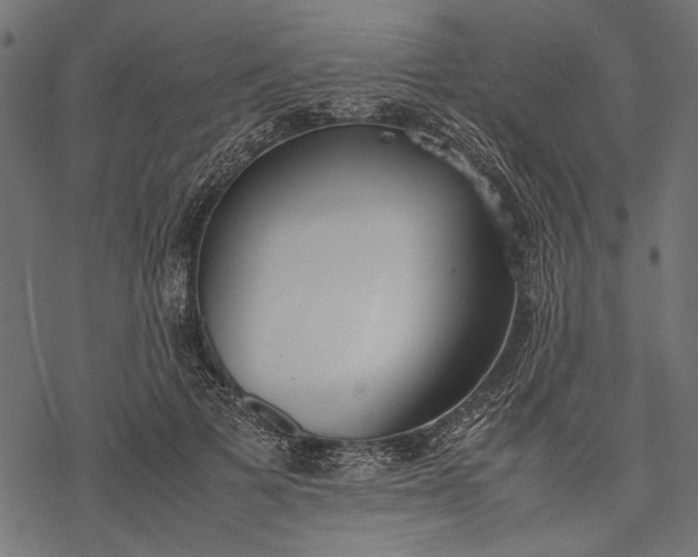 X0000077280697200611031525