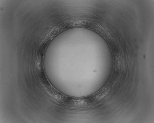 X0000077280698200611031525