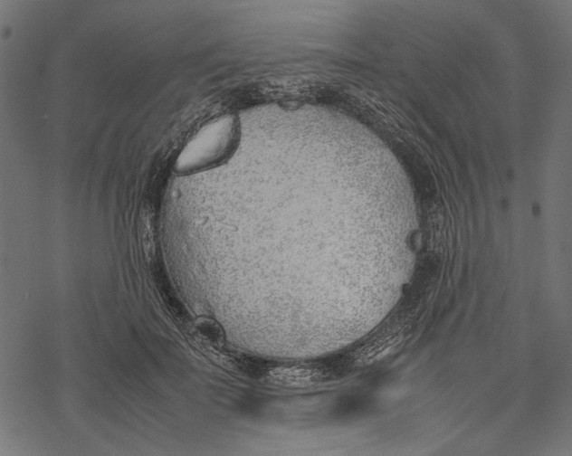 X0000077280699200611031525