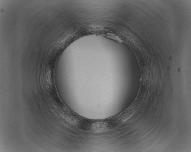 X0000077280700200611031525