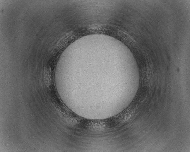 X0000077280702200611031525