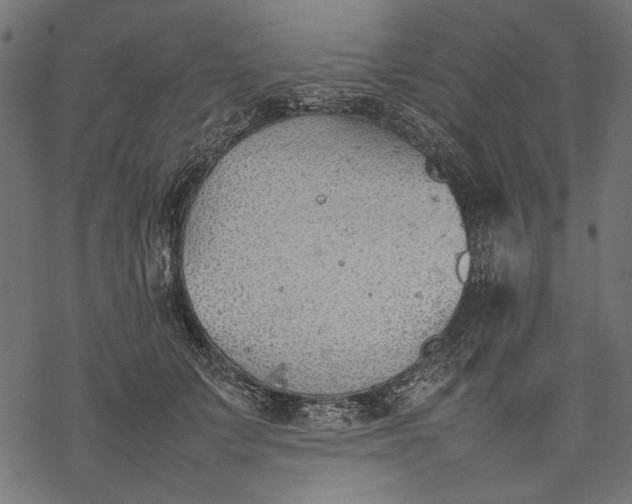 X0000077280703200611031525