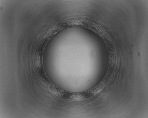 X0000077280704200611031525