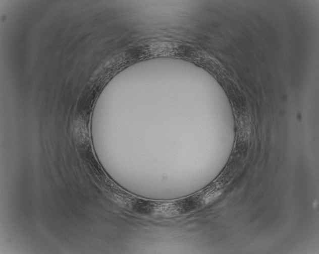 X0000077280705200611031525