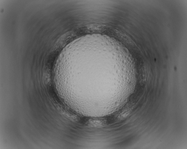 X0000077280706200611031525