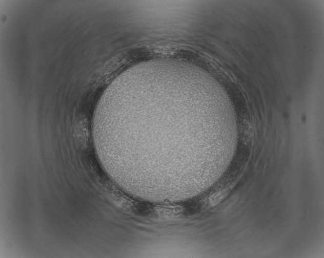 X0000077280707200611031525