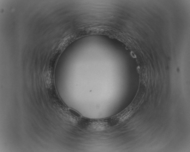 X0000077280708200611031525